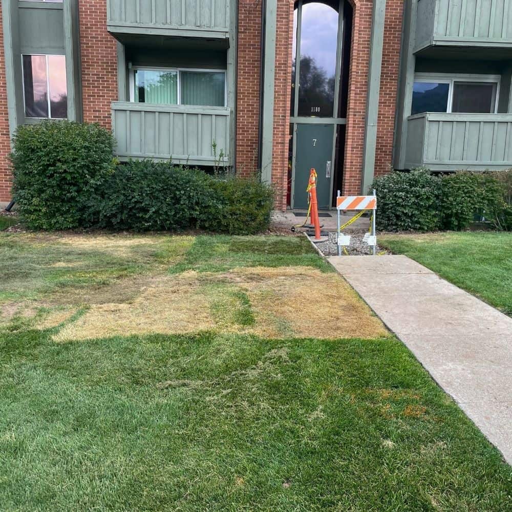 Commercial plumbing repair at apartment complex